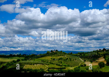 Typische tuscanian Landschaft mit einem Bauernhaus auf einem Hügel, von Weinbergen und Olivenhainen Stockfoto