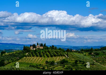 Typische tuscanian Landschaft mit einem Bauernhaus auf einem Hügel, von Weinbergen und Olivenhainen Stockfoto