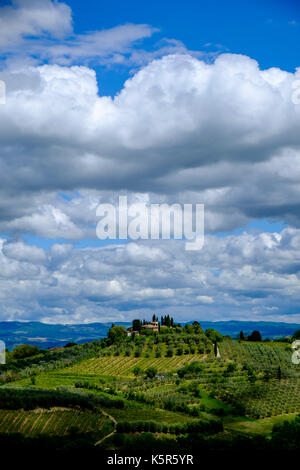 Typische tuscanian Landschaft mit einem Bauernhaus auf einem Hügel, von Weinbergen und Olivenhainen Stockfoto