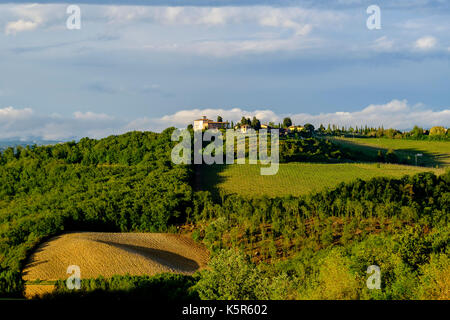 Typische tuscanian Landschaft mit einem Bauernhaus auf einem Hügel, Weinberge und Bäume Stockfoto