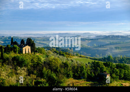 Typische tuscanian Landschaft mit einem Bauernhaus auf einem Hügel, Weinberge und Morgennebel Stockfoto