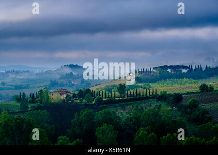 Typische tuscanian Landschaft mit Bauernhöfe auf Hügeln, Weinbergen und Morgennebel Stockfoto