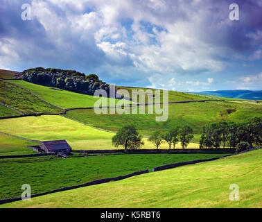 Ein Sommer Blick auf Ackerland in der Nähe von Hawes in den Yorkshire Dales, England Stockfoto