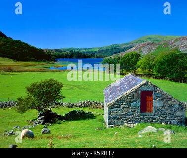 Eine Fernsicht auf Llyn Cwm Bychan im Snowdonia National Park, Wales Stockfoto