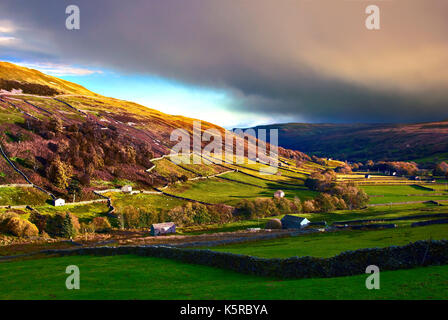 Ein Herbst Blick auf die einzigartige Landschaft von swaledale in den Yorkshire Dales, England Stockfoto