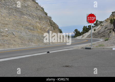 Eine Landstraße am Mount Charleston in Nevada. Stockfoto