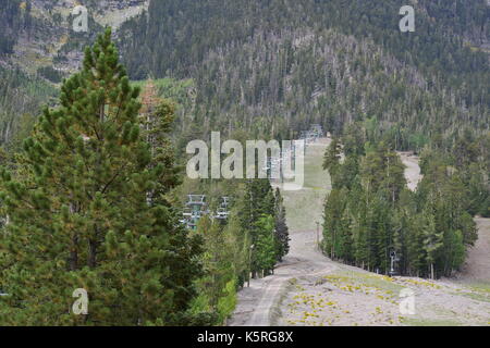 Mount Charleston in Nevada, USA. Stockfoto