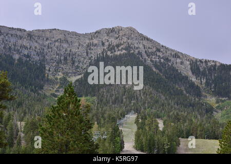 Mount Charleston in Nevada im Herbst. Stockfoto