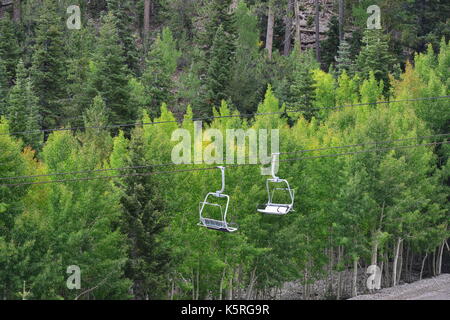 Mount Charleston in Nevada, USA. Stockfoto