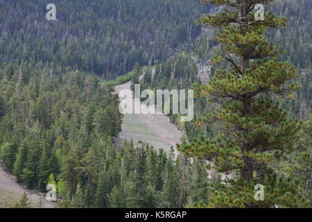 Mount Charleston in Nevada, USA. Stockfoto