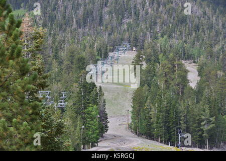 Mount Charleston in Nevada, USA. Stockfoto