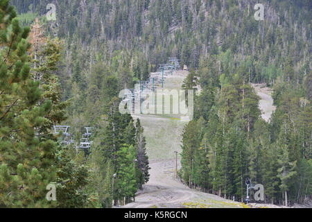 Mount Charleston in Nevada, USA. Stockfoto