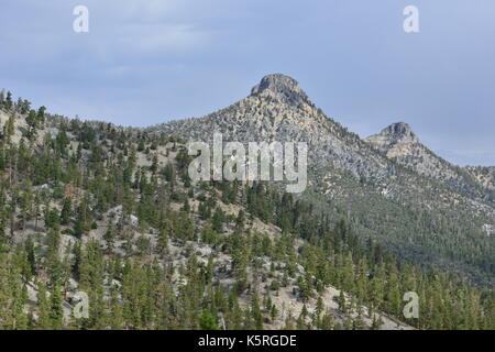 Mount Charleston in Nevada im Herbst. Stockfoto