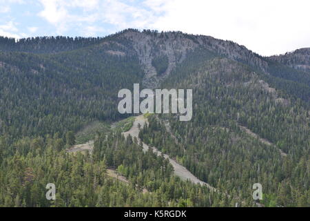 Mount Charleston in Nevada, USA. Stockfoto