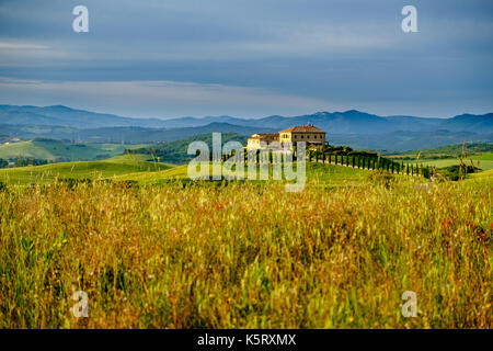 Typische tuscanian Landschaft mit dem Bauernhaus Podere Le Volpaie auf einem Hügel im Val di Cecina Stockfoto