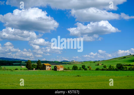 Typische tuscanian Landschaft mit Bauernhäusern, grüne Hügel, Gerste Felder und Blau, bewölkter Himmel im Chianti Stockfoto