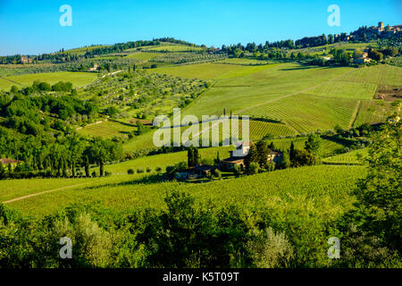 Typische tuscanian Landschaft mit Bauernhäusern, grüne Hügel, Bäume, Weinbergen, Olivenhainen und blauer Himmel im Chianti Stockfoto