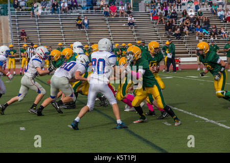 San Marin High School Mustangs, gegen, Tamalpais High School rote Falken, High School Football Player, High School Football, Novato, Kalifornien Stockfoto