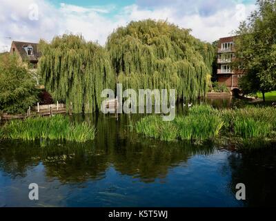 Riverside Apartments, Lucy's Mühle, Fluss Avon, Stratford Upon Avon, Wark. UK. Stockfoto