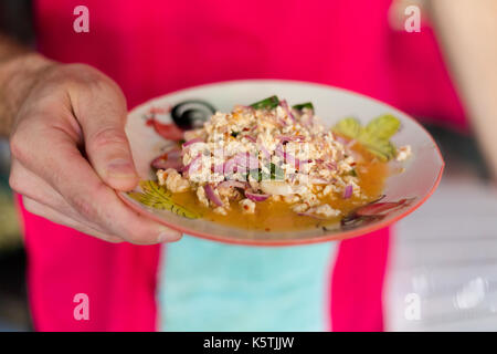 Würziges Hackfleisch Huhn, roten Zwiebeln und Kräutern larb Salat. Bild der traditionelle thailändische Küche aus frischen Zutaten bei Kochkurs in Chia genommen Stockfoto