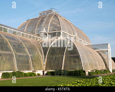 Das Palm House, Kew Botanical Gardens, Richmond, London, England, Großbritannien Stockfoto