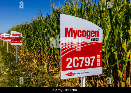 Indianapolis - ca. September 2017: Mycogen Seeds Signage in einem Maisfeld. Mycogen Seeds ist eine Tochtergesellschaft von Dow AgroSciences und DowDuPont I Stockfoto