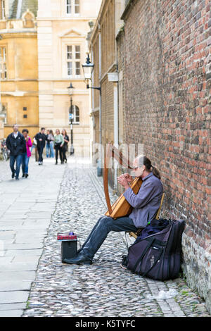 Eine Harfe player Straßenmusik auf Senat Haus Passage in Cambridge, Großbritannien Stockfoto