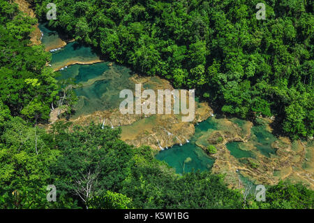 Blick aus der Vogelperspektive auf eine Reihe von türkisfarbenen Pools, die von einem Fluss gebildet werden, der sich durch einen üppigen, dichten tropischen Wald schlängelt., semuc Champey Wasserfall in Guatemala Stockfoto