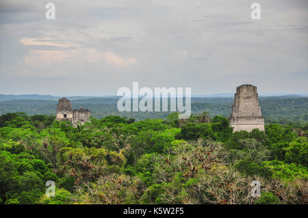 Antike maya-Tempel blicken über den üppigen Baldachin des guatemaltekischen Dschungels. Stockfoto