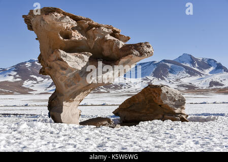 Arbol de piedra im Schnee, Árbol de Piedra, Steinbaum, Siloli Wüste, Altiplano, Potosi, Grenze zu Chile, Bolivien Stockfoto