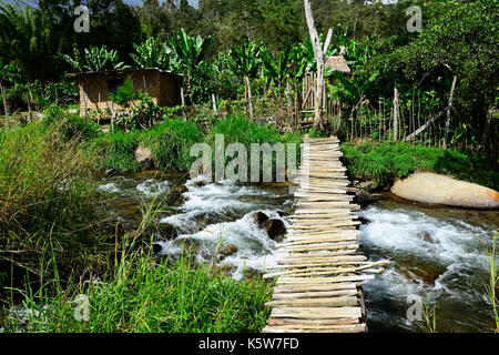 Holzbrücke über den Fluss, ein kleines Dorf im Hochland von Kaveve, Goroka, Papua-Neuguinea, Ozeanien Stockfoto