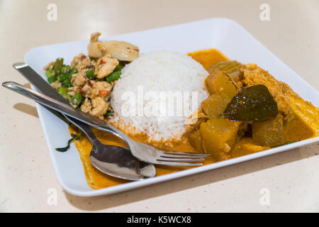 Hühnercurry und Reis auf einem weißen Teller. Stockfoto