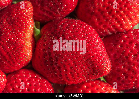 Fraise Marseille Frankreich Stockfoto