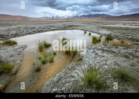 Tso Kar salt lake im südlichen Teil von Ladakh, Kaschmir, Indien Stockfoto