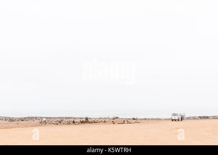 CAPE CROSS, NAMIBIA - 29. Juni 2017: Die Robbenkolonie bei Cape Cross an der Skelettküste Namibias Stockfoto