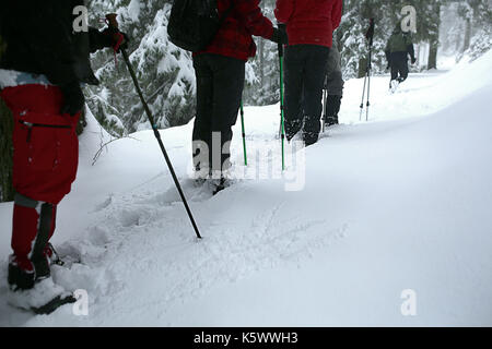 Gruppe von Trekker auf Schnee Trail im Winter Forest Stockfoto