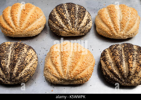 Paul Hollywood bereit gesäte Brötchen zu Backen. Stockfoto