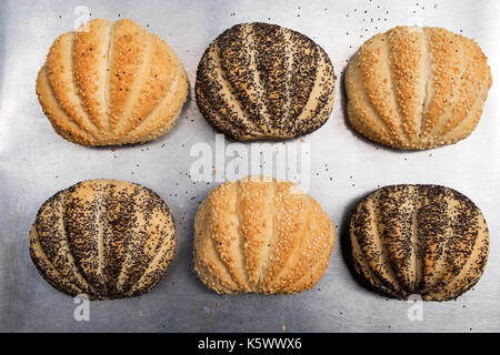 Paul Hollywood Brötchen gesäte Stockfoto