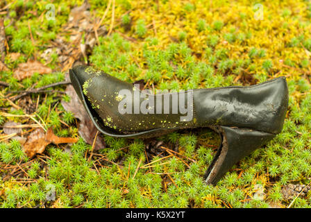 Ist ein altes verworfen, Frau Schuh im Wald, beginnend mit Flechten bedeckt zu werden, liegen auf dem Moos, Nahaufnahme. Stockfoto