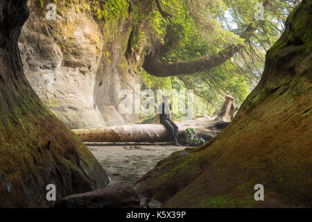 Einem jungen Mann, der auf ein Protokoll auf Owen, Pacific Rim National Park Stockfoto