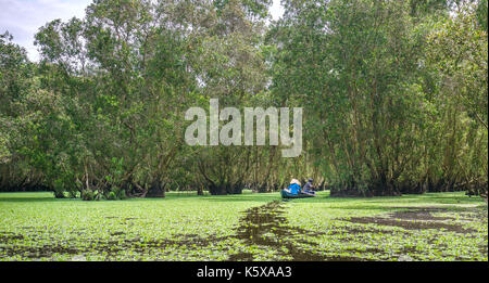 Der Fährmann bringt Reisende auf einer Bootstour entlang der Kanäle im Mangrovenwald. Es ist ein Eco Tourismus Bereich am Mekong Delta Stockfoto