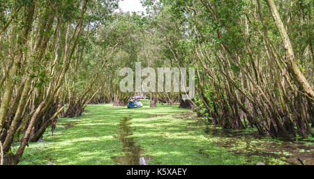 Der Fährmann bringt Reisende auf einer Bootstour entlang der Kanäle im Mangrovenwald. Es ist ein Eco Tourismus Bereich am Mekong Delta Stockfoto