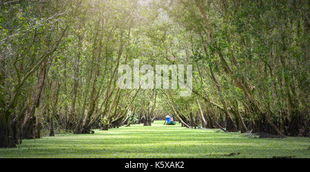 Der Fährmann bringt Reisende auf einer Bootstour entlang der Kanäle im Mangrovenwald. Es ist ein Eco Tourismus Bereich am Mekong Delta Stockfoto