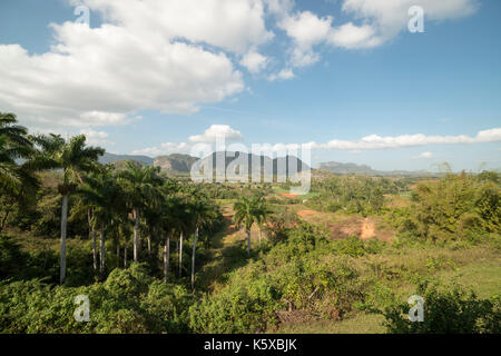 Havanna, - Januar 09, Reisen, Havanna, Kuba, Vinales Tal. Im Bild: vinales Tal - Valle de Vinales. (Foto von Ulrich Roth) Stockfoto