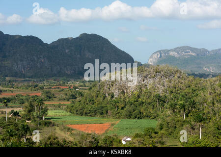 Havanna, - Januar 09, Reisen, Havanna, Kuba, Vinales Tal. Im Bild: vinales Tal - Valle de Vinales. (Foto von Ulrich Roth) Stockfoto