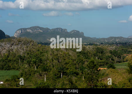 Havanna, - Januar 09, Reisen, Havanna, Kuba, Vinales Tal. Im Bild: vinales Tal - Valle de Vinales. (Foto von Ulrich Roth) Stockfoto