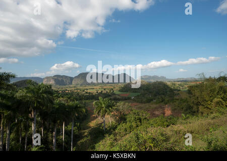 Havanna, - Januar 09, Reisen, Havanna, Kuba, Vinales Tal. Im Bild: vinales Tal - Valle de Vinales. (Foto von Ulrich Roth) Stockfoto