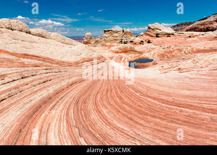 White Pocket Bereich der Vermilion Cliffs National Monument, Arizona. Stockfoto