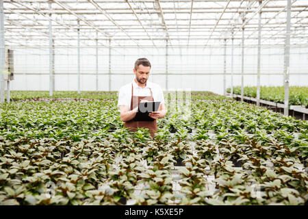 Junge konzentrierter Arbeiter in Schürze Ordner und Arbeiten mit grünen Pflanzen im Gewächshaus Stockfoto