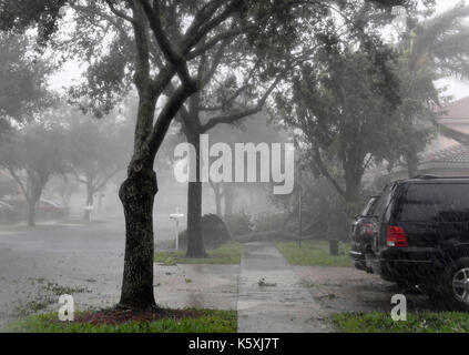 Miramar, FL, USA. 10 Sep, 2017. Starke Winde und Regen vom Hurrikan Irma die Bäume, Zweige und Briefkästen in Monarch Seen im Westen Miramar um 3:00 Uhr Sonntag Nachmittag. Als der Hurrikan nach Norden der Golfküste verschoben, der brachte es zu heftigen Wetter in South Florida. Ein sich schnell bewegendes Gewitter führte zu Tornadowarnungen in Broward und Palm Beach in den Grafschaften, einem 109 mph Gust hit Pembroke Pines, ein zweiter Kran stürzte in Downtown Miami und eine leistungsfähige Sturmflut gesendet Meer Wasser Hochwasser in MiamiÃ¢â'¬â"¢s Brickell Avenue Sonntag Credit: Sonne-hinweissymbol/ZUMA Draht/Alamy leben Nachrichten Stockfoto